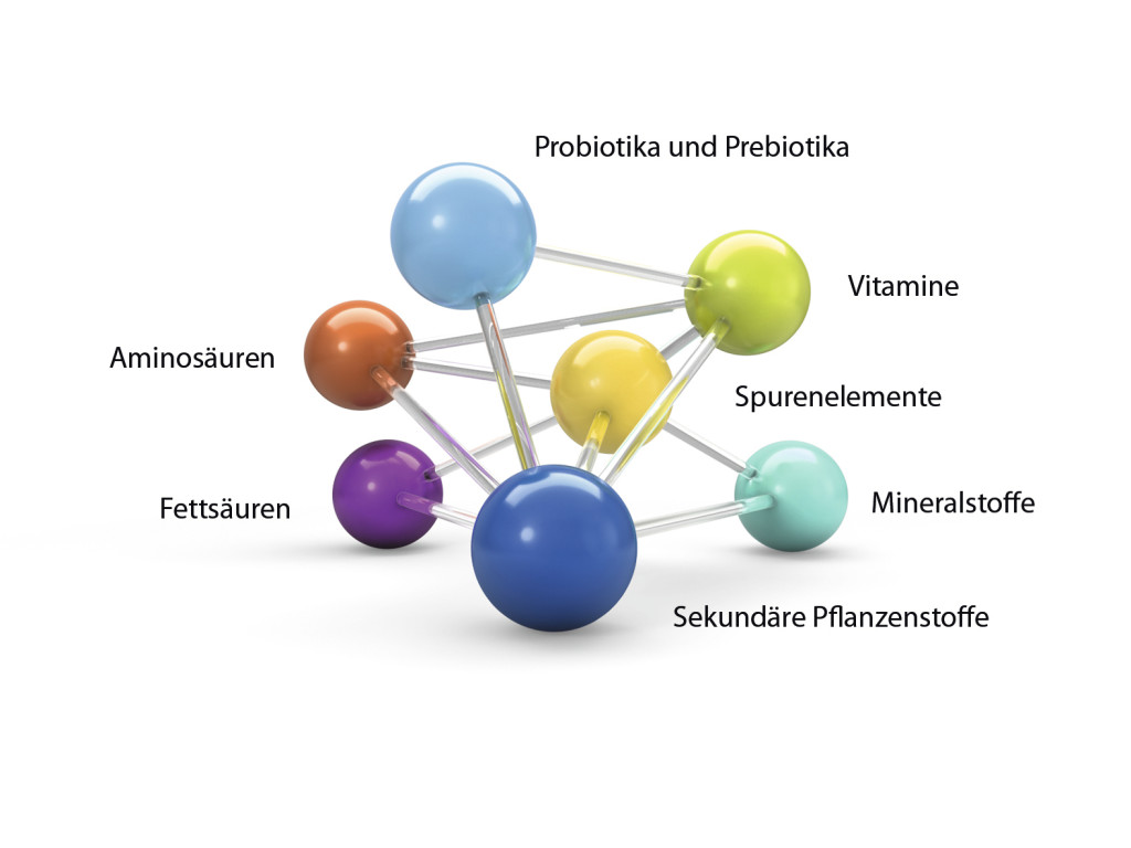 Orthomolekulare Medizin | Heilpraktiker Rolf Pauli